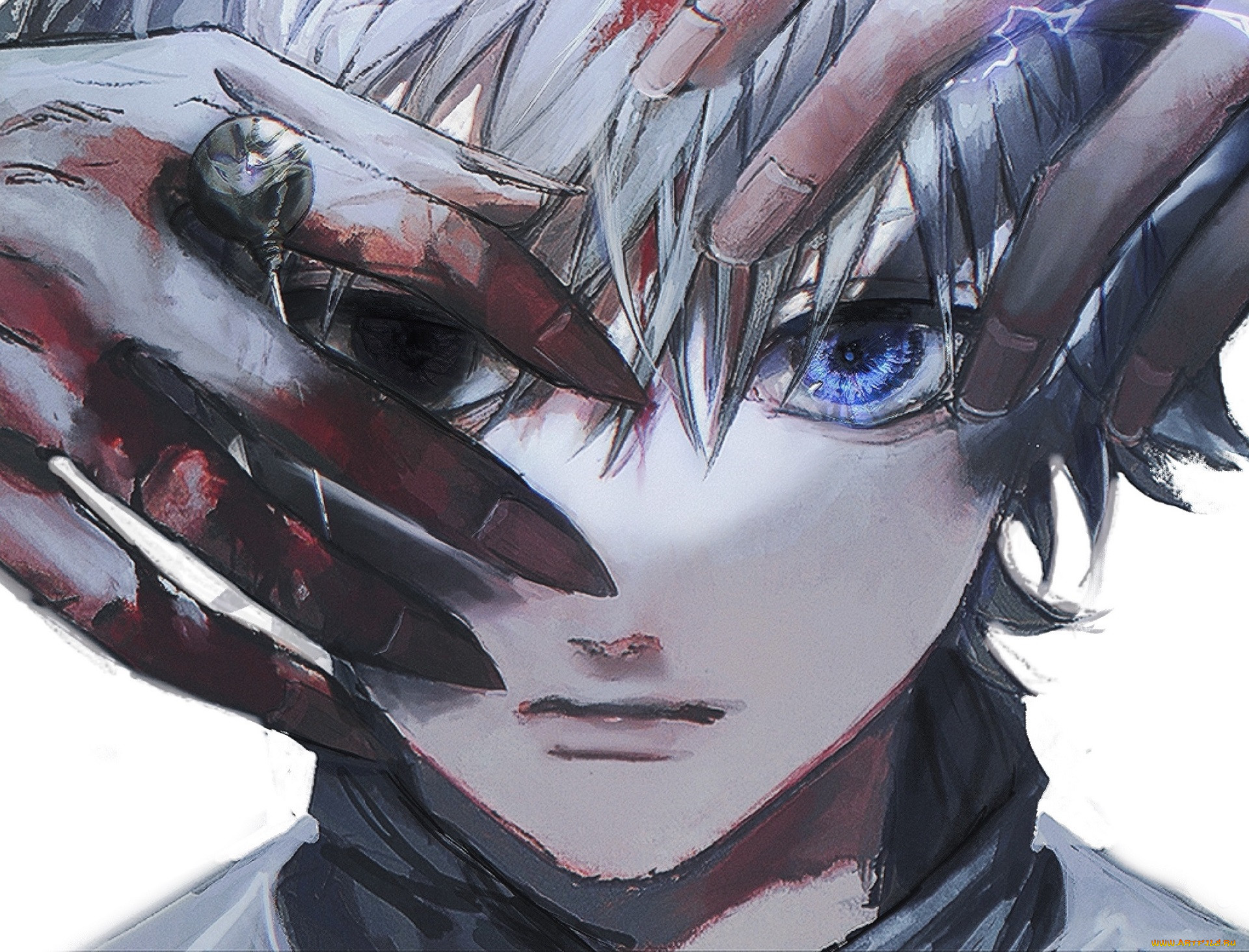 , hunter x hunter, 